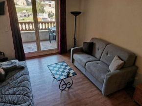 Appartement confort 8 pers, 2 chambres, terrasse, buanderie, près des pistes - FR-1-404-146